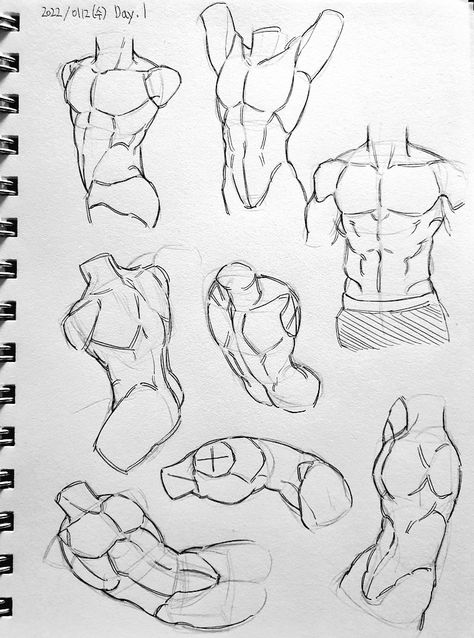 Arching Back Reference, Person Holding Knife Reference, Body Drawing Tutorial, Human Anatomy Drawing, Human Figure Drawing, Human Anatomy Art, Creative Drawing Prompts, Body Reference Drawing, Art Tools Drawing