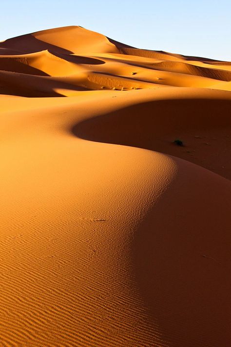 On the top of the flattest area you could imagine, suddenly a long mountain of sand rises. The Erg Chebbi dunes of wind-blown sand near the little town of Merzouga are renowned for their great height and size. Atlas Mountains Morocco, Morocco Travel, Crashing Waves, Atlas Mountains, Africa Travel, Sand Dunes, North Africa, Lonely Planet, Travel Insurance