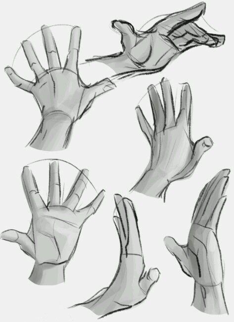 Hands Study, Draw Hands, Drawing Hands, Hand Drawing Reference, Anatomy Sketches, Anatomy Drawing, Poses References, Figure Drawing Reference, Body Drawing