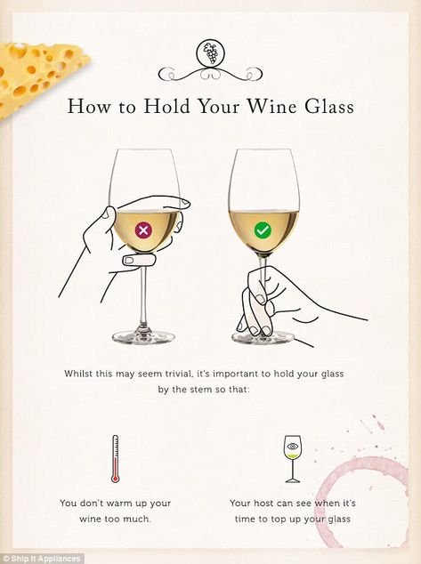 It is important to hold your glass by the stem in order to avoid your wine overheating in your hand How To Properly Hold A Glass Of Wine, How To Hold Champagne Glasses, Wine Study Notes, How To Properly Pour Wine, How To Hold Wine Glasses, How To Hold A Wine Glass Properly, Dinning Etiquette, Table Setting Etiquette, Wine Etiquette