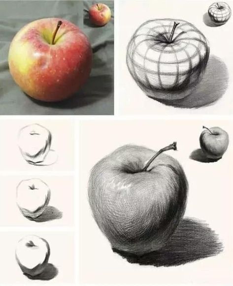 Pencil Shading Techniques, Still Life Sketch, Life Sketch, Shadow Drawing, Fruits Drawing, Observational Drawing, Art Basics, Object Drawing, Basic Drawing