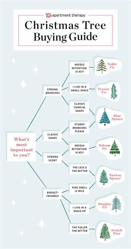 Buying A Christmas Tree Guide - Christmas Tree Types | Apartment Therapy Leanin Tree Christmas Cards, Christmas Tree Guide, Christmas Tree Care, Types Of Christmas Trees, Live Christmas Trees, Christmas Tree Sale, Grinch Face, Pre Lit Christmas Tree, Christmas Farm