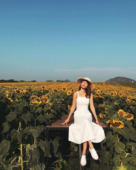 Andrea Chong on Instagram: “Can't wait to be back in Thailand this weekend, #throwback to sunny days in Khao Yai. ☀️ To help you experience #Priceless moments like…” Thailand Outfit, Sunflower Photography, Khao Yai, Thailand Photos, The Sunflower, Yellow Aesthetic, Ig Stories, Instagram Ideas, Wild Flower