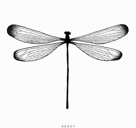 Minimal Dotwork Tattoo, Dragonfly Sketch Tattoo, Dragonfly Tattoo Linework, Dragonfly Tattoo Sketch, Minimal Dragonfly Tattoo, Baterflay Tattoo, Dragonfly Drawing Tattoo, Red Dragonfly Tattoo, Dragonfly Line Art