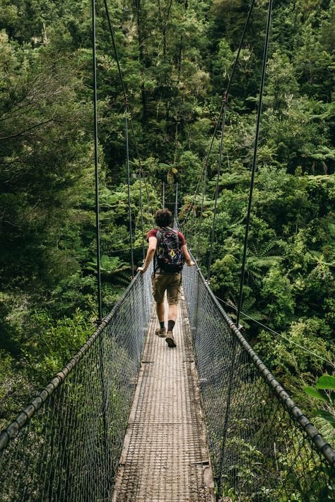 Men Travel Photography, Masculine Portrait, Hiking Rainforest, Man In Forest, Forest Explorer, Ben Zank, Man Traveling, Trekking Photography, Hike Photography