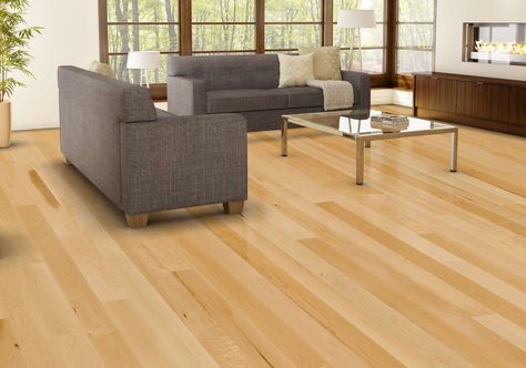 Timber flooring suppliers - Timber Flooring - BBS Timbers Birch Flooring Hardwood, Grey Wood Floors Living Room, Birch Flooring, Light Grey Wood Floors, Birch Hardwood Floors, Maple Wood Flooring, Birch Floors, Living Room Hardwood Floors, Wood Floor Colors