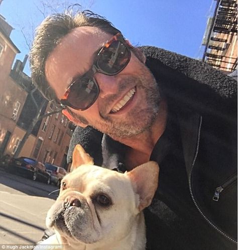 Social star: A quick trawl of Hugh's Instagram reveals that he is no stranger to the selfie, however, his recent effort has put the previous shots to shame French Bulldog Breeders, Hugh Jackman Logan, Wolverine Hugh Jackman, Logan Wolverine, Charles Xavier, Australian Actors, French Bulldog Puppies, Bulldog Puppies, Hugh Jackman