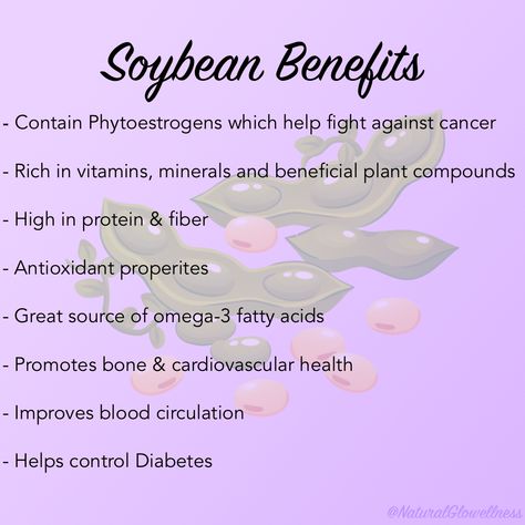 Soybeans have so many benefits 🌱 Check out my new blog post on the misonception between soy and estrogen, lots of interesting facts! #soy #soybeans #antioxidants #nutrition #diet #health #healthy #soybeanbenefits #soybenefits #plantbasedhealth #naturalglowellness Soybean Benefits, Nutrition Diet, Improve Blood Circulation, Cardiovascular Health, New Blog Post, Natural Glow, Plant Based Diet, Health Healthy, Diet Tips