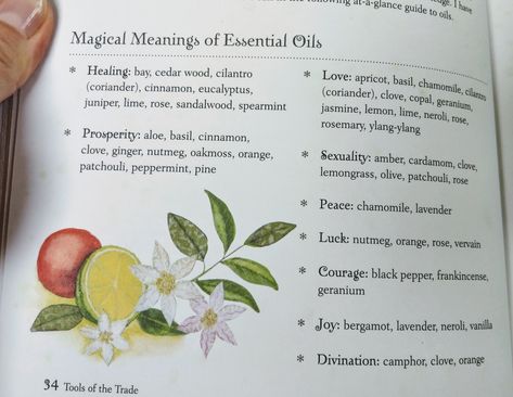 Neroli Magical Properties, Lemon Oil Magical Properties, Tomato Magical Properties, Office Supplies Storage, Tea Remedies, Neroli Essential Oil, Healing Essential Oils, Kitchen Witchery, Creative Office