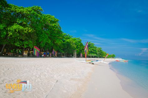 Exploring The Great Santa Cruz Island “the Pink Sand Beach” of Zamboanga City Zamboanga City, Best Surfing Spots, Santa Cruz Island, Pink Sand Beach, Mangrove Forest, City Pictures, Tourist Spots, Pink Sand, Travel Alone