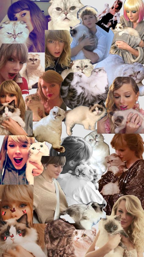 Taylor and her cats being adorable! Cat Taylor Swift, Taylor Swift Cat, Taylors Version, Cat Names, Taylor Swift Pictures, Cat Wallpaper, Taylor Alison Swift, Pinterest Board, Taylor Swift