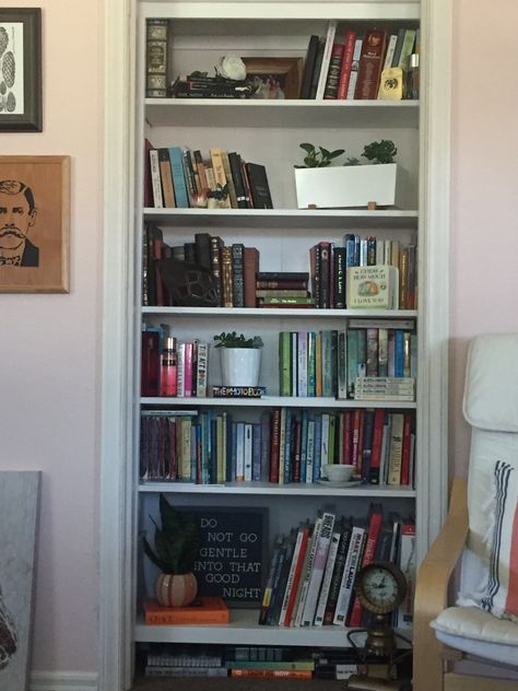 Closets Into Bookshelves, Small Closet Bookshelf, Library In Closet, Bookshelf In Closet, Closet Library Ideas, Closet Book Nook, Closet Bookshelf, Book Nook Closet, Closet Bookcase