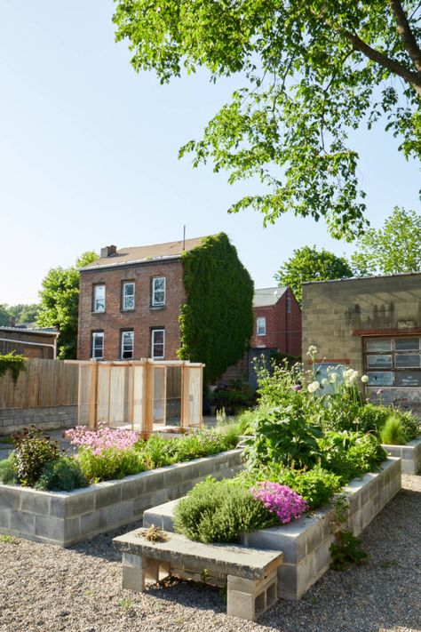 Garden Visit: Mindful Neglect in Lindsey Taylor's Rambunctious Cinderblock Garden - Gardenista Cinder Block Garden Wall, Cinder Block Garden Bed, Cinder Block Garden, Native Plant Gardening, Plants To Grow, Veg Garden, School Garden, Cinder Block, Public Garden