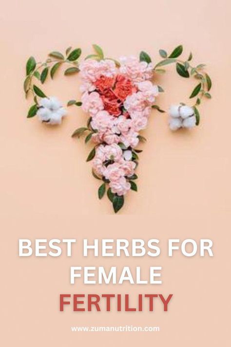 In this blog we discuss the Best Herbs for Fertility for Women. Certain herbs have the potential to support fertility and hormone health. Click here to learn more.