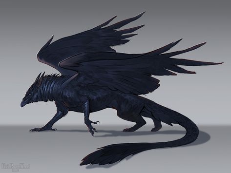 Black Griffin Art, Black Feathered Dragon, Flying Creature Art, Dark Fantasy Animals, Raven Monster Art, Griffin Concept Art, Raven Griffin, Crow Griffin, Griffin Art Mythical