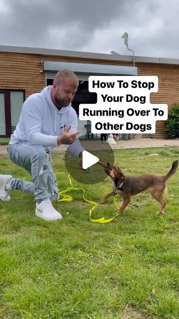 Southend Dog Training on Instagram: "How To Stop Your Dog Running Over To Other Dogs *full video plus more videos of how we took Mila a dog that knows nothing and how we’ve trained her to, ignore other dogs, how we built motivation, how we teach her to switch off, recall, lead walking and much more, available on our website. #dogsofinstagram #dogtraining #onlinetraining #pets" How To Teach A Dog Recall, How To Teach Dogs Basic Commands, Commands To Teach Your Dog, Dog Recall, Dog Commands Training, Dog Recall Training, Dog Commands, Dog Running, Dog Training Videos