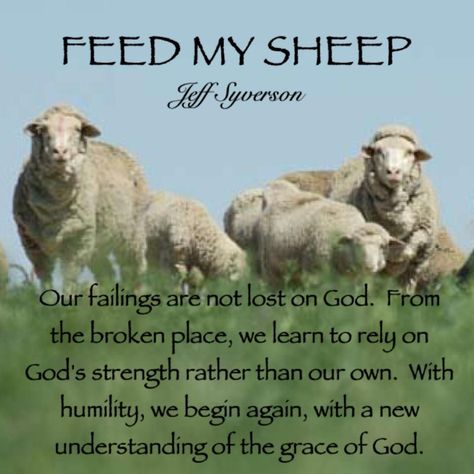 John 21, Feed My Sheep, Liturgical Year, Gods Strength, Youth Activities, 2 Samuel, Proverbs 16, Begin Again, Scripture Reading