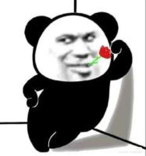 Panda Meme, Chinese Meme, China Panda, Chinese Panda, Goofy Drawing, Funny Expressions, Troll Face, Funny Emoji, Funny Profile