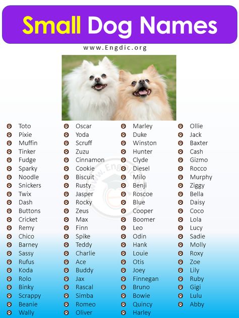 Puppy Names Unique, Puppies Names Female, Small Dog Names, Cute Puppy Names, Cute Pet Names, Dog Names Unique, Female Dog Names, Tattoos For Dog Lovers, Cute Names For Dogs