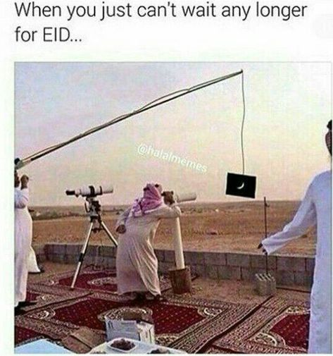 Eid Jokes, Muslim Meme, La Mecca, Muslim Memes, Arabic Memes, Sarcastic Jokes, Latest Funny Jokes, Today Is The Day, Funny Images Laughter