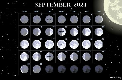 Moon September 2024 templates New Moon September, Moon Phases Calendar, Table Of Contents Template, Floral Design Wallpaper, Moon Phase Calendar, August Calendar, September Calendar, Calendar June, Today Calendar