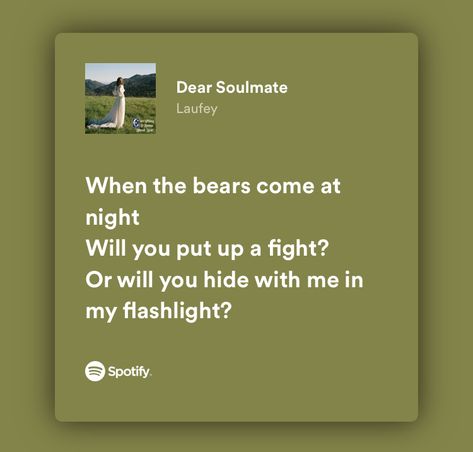 Laufey Lyrics, Dear Soulmate, Fav Song, Spotify Lyrics, Do Not Be Afraid, She Song, Soulmate, Perfect Wedding, Song Lyrics