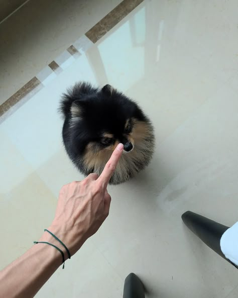 Yeontan Pictures, Kim Yeontan, Jeongguk Jeon, V Bts Wallpaper, Taehyung Abs, Kim Taehyung Bts, Taehyung Wallpaper, Taehyung Funny, Bts Kim Taehyung