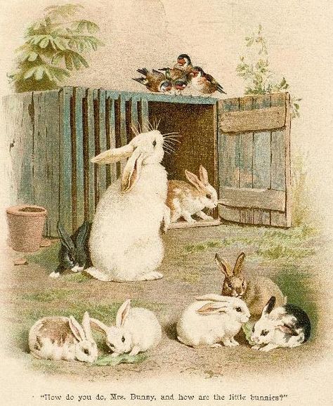 bumble button: Darling Victorian Rabbits and Bunnies From Children's Books and Antique Postcards Lapin Art, Vintage Easter Cards, Bunny Images, Rabbit Illustration, Vintage Rabbit, Bunny Pictures, Vintage Bunny, Rabbit Art, Bunny Art