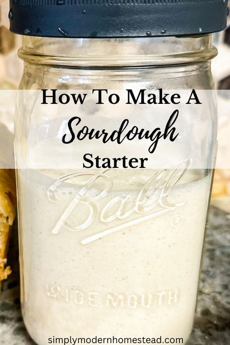 Sourdough guide, sourdough starter Sourdough English Muffins, Fermented Kimchi, Sourdough Bread Starter, Dough Starter, Homemade Sourdough Bread, Bread Starter, Sourdough Starter Recipe, Wild Yeast, King Arthur Flour