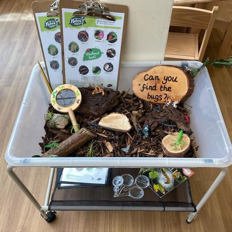 Bugs And Nature Activities, Bug Set Up Preschool, Insect Activity For Preschool, Montessori Bug Activities, Bug Hunt Preschool, Insect Eyfs Activities, Insect Provocations Preschool, Reggio Bug Activities, Bug Provocations Preschool