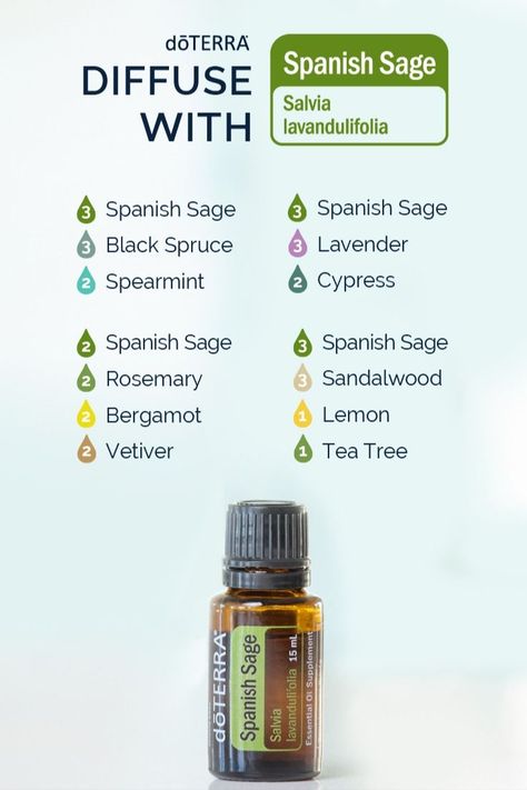 Doterra Spanish Sage, Spanish Sage Essential Oil, Doterra Spanish Sage Diffuser Blends, Spanish Sage Diffuser Blends, Spanish Sage Doterra, Sage Diffuser Blends, Doterra Motivate, Doterra Diffuser, Doterra Diffuser Blends