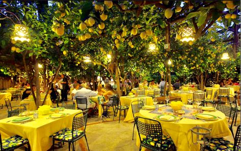 Da Paolino Restaurant, Capri, with all those lemon trees Capri Italia, Homemade Limoncello, Tree Restaurant, Capri Island, Isle Of Capri, Lemon Trees, Kusadasi, Capri Italy, Lemon Tree