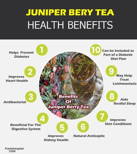 Juniper Berry Tea, Berry Tea Recipe, Berry Benefits, Healing Teas, Benefits Of Berries, Tea Remedies, Tea Health, Gut Health Diet, Natural Things