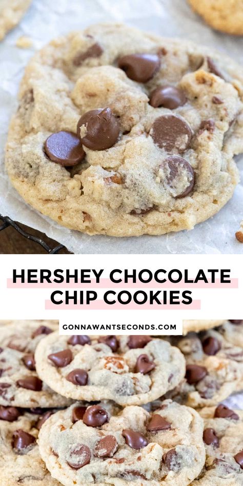 Hershey Chocolate Chip Cookies Hersey Chocolate Chip Cookies, Hershey’s Chocolate Chip Cookies, Hershey Cookie Recipes, Hersheys Chocolate Chip Cookies Recipe, Hersheys Chocolate Chip Cookies, Hersheys Chocolate Cookies, Hersheys Recipes, Cholate Chip Cookies, Hershey Chocolate Chip Cookies