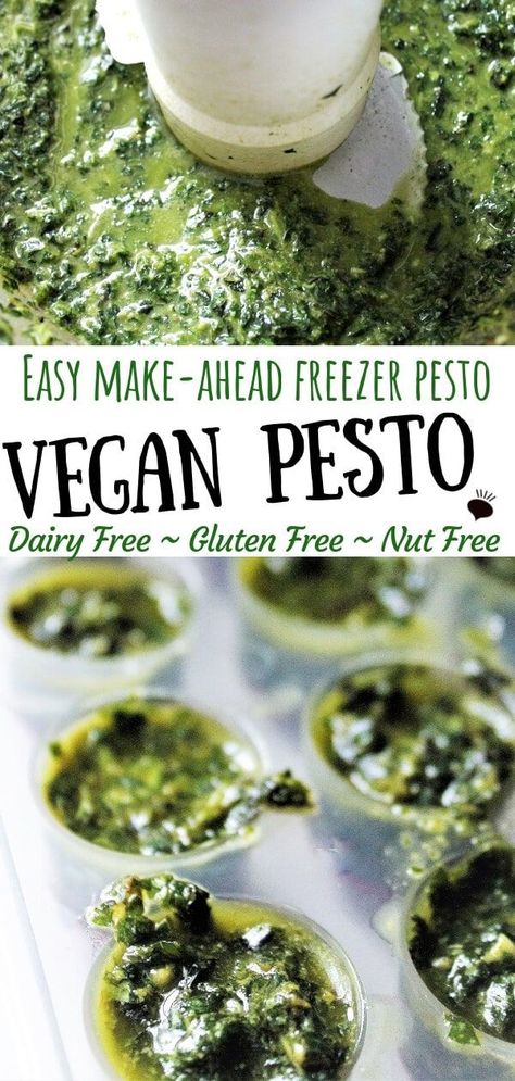 An easy vegan pesto recipe that is nut free, gluten free, dairy free, and easy to make ahead and freeze in perfect amounts for all you vegan recipes that call for basil or pesto.  Make it with or without nuts.  Turn it into a delicious vegan pesto pasta sauce or add it to soups or Italian dishes. #veganpesto #dairyfreepesto #veganglutenfree #thehiddenveggies via @https://www.pinterest.com/gfveganmeals/ Vegan Pesto Recipe, Nut Free Pesto, Dairy Free Pesto, Basil Pesto Recipes, Dairy Free Pasta, Vegan Pesto, Sandwich Spread, Vegan Keto, Pesto Recipe