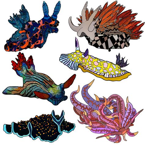 Set of 6 unique hand-drawn nudibranchs, originally created to be used in an adult coloring book All Drawings, Adult Coloring Books, Adult Coloring, A Black, Top Artists, Science Poster, Stranger Things Fanart, Sell Your Art, Coloring Books