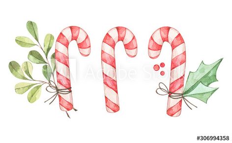 Candy Cane Experiment, Candy Cane Story, Candy Cane Science, Branch Illustration, Candy Cane Coloring Page, Winter Drawings, Candy Cane Decorations, Candy Cane Ornament, Illustration Watercolor