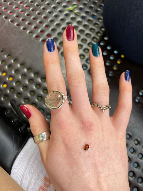 #ladybird #nature #nails #rings Ladybird Nails, Nails Rings, Nature Nails, Lady Bird, Daily Routines, Enjoy Your Life, Nails, Nature