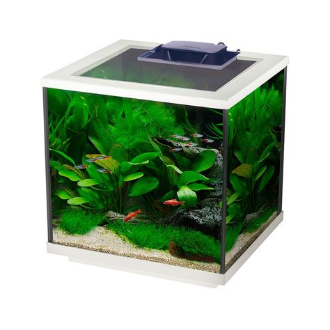 Interpet Aqua Cube Glass Fish Tank Aquarium with Integrated LED Lighting and Easy Care Filter, 28L, Clear/White : Amazon.co.uk: Pet Supplies Small Heater, Glass Fish Tanks, Aquarium Heater, Led Aquarium, Glass Aquarium, Tropical Aquarium, Aquarium Accessories, Tanked Aquariums, Glass Fish