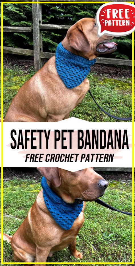 crochet Safety Pet Bandana free pattern - FREE Crochet Safety Pet Bandana Pattern for Beginners. Click to Get the Pattern #Pet #crochet #crochetpattern
 via @shareapattern.com Crochet Bandana Dog, Dog Bandana Pattern Crochet, Crochet Dog Accessories, Pet Bandana Pattern, Crochet Dog Bandana, Pet Crochet, Dog Bandana Pattern, Bandana Pattern, Crochet Bandana