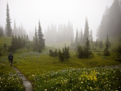 Mt Rainier, Seattle, USA Foggy Hills, Mountain Vibes, Foggy Weather, Foggy Mountains, Mystical Forest, Forest Hills, Stunning Photography, Treasure Box, Pretty Photos