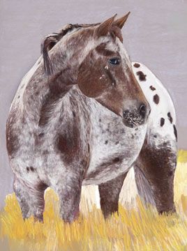 Appaloosa Horse Tattoo, Red Roan Horse, Paint Horse Foal, Appaloosa Horse Painting, Varnish Roan Appaloosa, Varnish Appaloosa, Roan Horse, Galloping Horse Painting, Horse Portraits