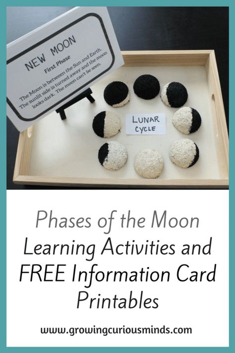 Homeschooling Printables, Moon Information, Homeschool Science Experiments, The Moon Phases, Experiments For Kids, Homeschool Freebies, Homeschool Board, Homeschool Encouragement, Science Ideas