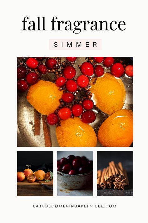 Cranberry Orange Spice Holiday Scent for Your Home. Kitchen simmer aromatherapy. Cranberry Orange Cinnamon Smell, Cranberry Orange Simmer Pot, Stovetop Simmer, Cinnamon Smell, Room Spray Recipe, Simmer Pot Recipes, Cranberry Cinnamon, How To Make Orange, House Smell Good