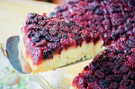 Blackberry Upside Down Cake, Diner Cake, Blackberry Dessert Recipes, Cake Recipes Uk, Blackberry Dessert, Upside Down Cake Recipe, Blackberry Cake, Blackberry Recipes, Chocolate Bundt Cake