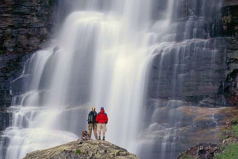 Bridal Veil Falls Telluride | Visit Telluride Bridal Veil Falls Telluride, Telluride Ski Resort, Utah Trip, Colorado Summer, Bridal Veil Falls, Telluride Colorado, Bear Creek, Colorado Hiking, Bear Lake