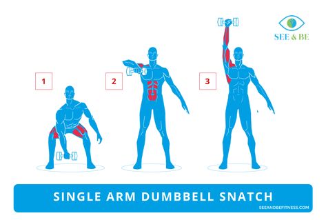 Exercise of the Day: Single Arm Dumbbell Snatch — Steemit Vsg Workouts, Single Dumbbell Exercises, One Dumbbell Arm Workout, Workout Movements, Dumbbell Snatch, Boys Workout, Dumbbell Exercise, Dumbbell Arm Workout, Ripped Workout