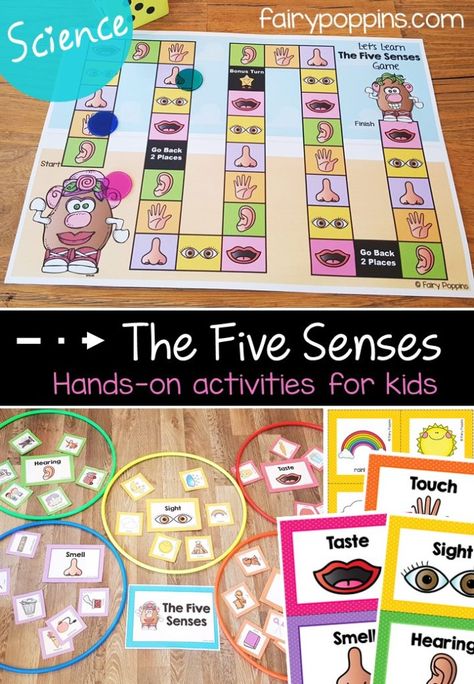 Five Senses Activities For Kids | Fairy Poppins My Body Five Senses Activities Game, My 5 Senses Preschool Activities, Senses Activities For Kids, Five Senses Activities, Fairy Poppins, 5 Senses Preschool, Science Games For Kids, Five Senses Preschool, 5 Senses Activities