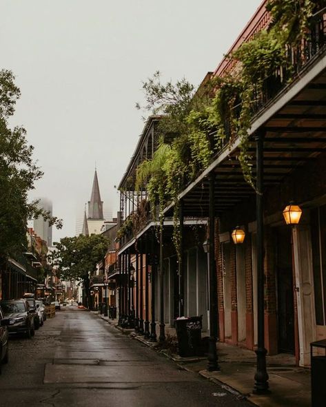 New Orleans Fall, Cat City, New Orleans Homes, Late Fall, French Quarter, Painting Photos, Home Photo, Tahiti, Photo Credit