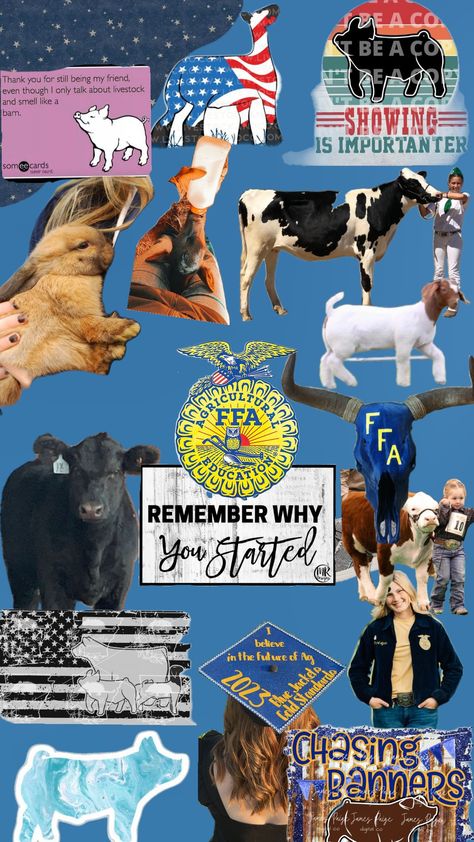 #livestock #ffa #cattleshows #goatshowing #pigshows #ffagirlie #wallpapers #livestockshow Ffa Wallpaper, Livestock Aesthetic, Ffa Aesthetic, Ffa Scrapbook Ideas, Ffa Scrapbook, Cute Car Seat Covers, Ag Teacher, Western Wallpaper, Western Wallpaper Iphone